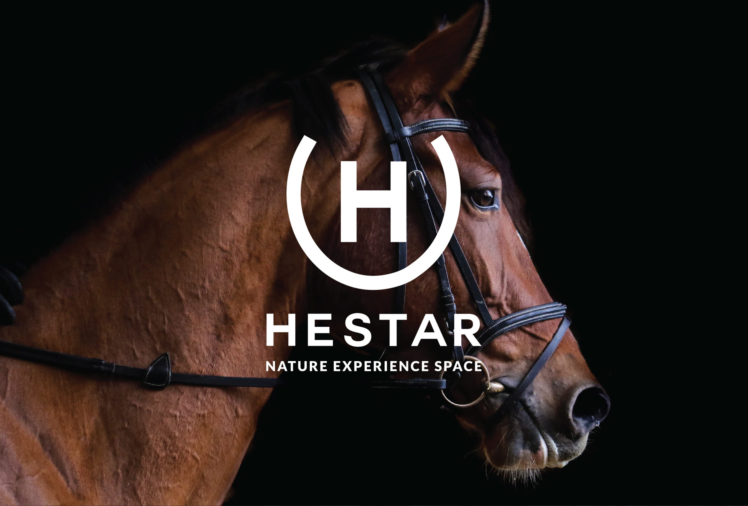Hestar _for web-01
