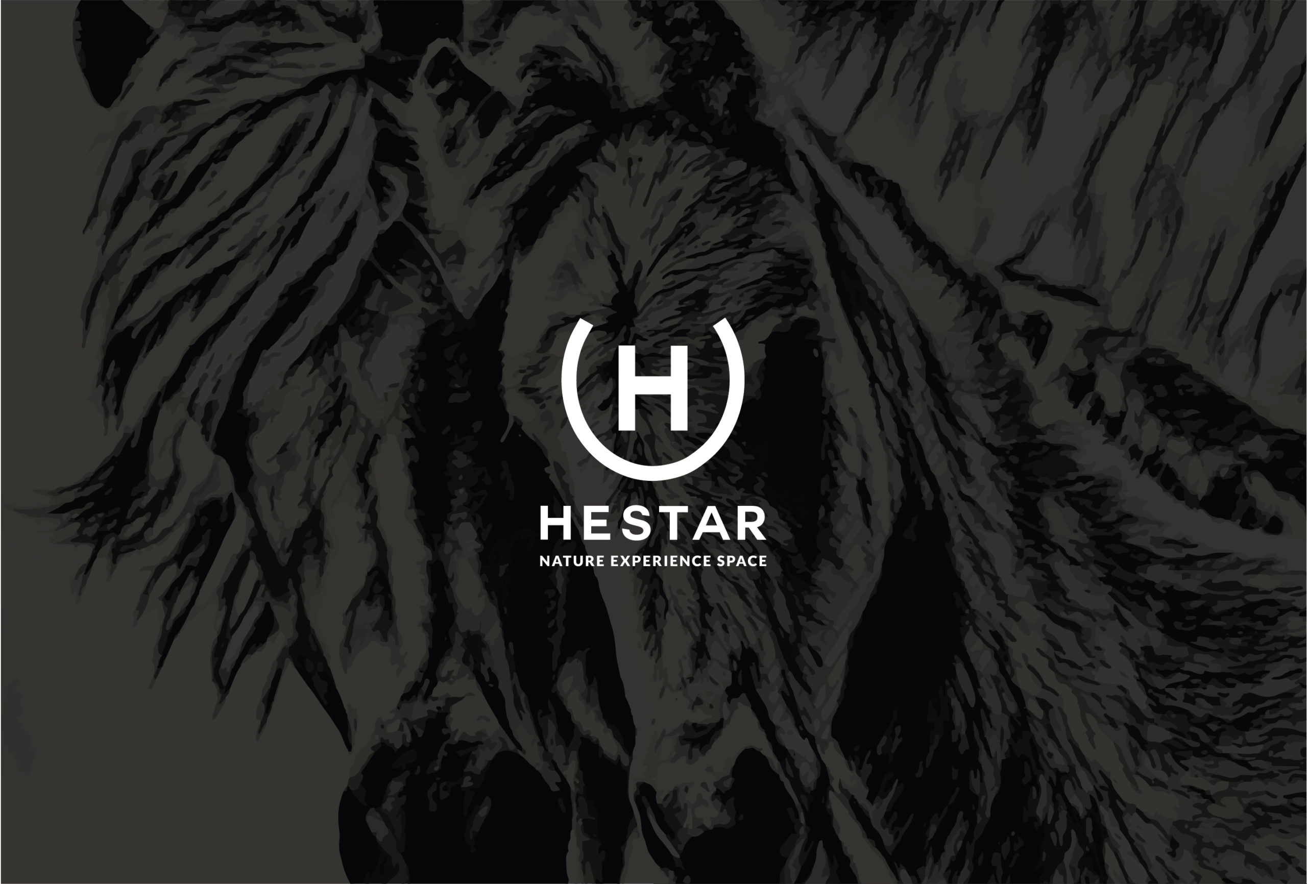 Hestar _for web-03